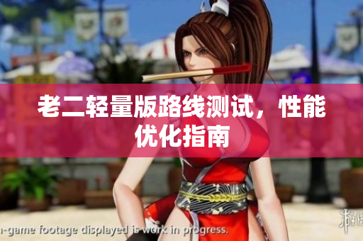 老二轻量版路线测试，性能优化指南