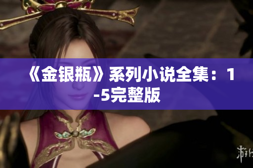 《金银瓶》系列小说全集：1-5完整版