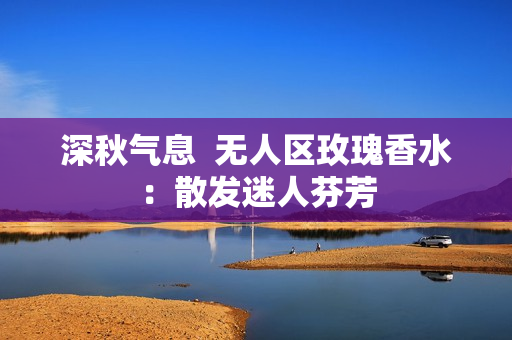 深秋气息  无人区玫瑰香水：散发迷人芬芳