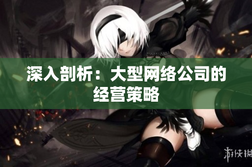深入剖析：大型网络公司的经营策略