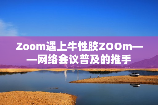 Zoom遇上牛性胶ZOOm——网络会议普及的推手