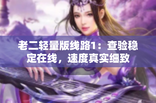 老二轻量版线路1：查验稳定在线，速度真实细致