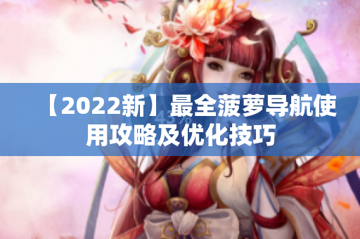 【2022新】最全菠萝导航使用攻略及优化技巧