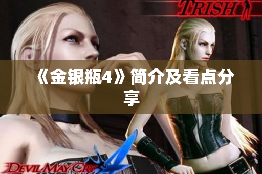 《金银瓶4》简介及看点分享