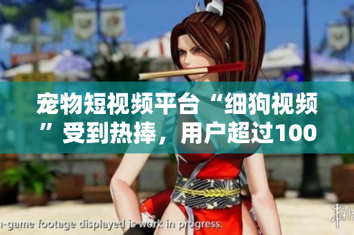 宠物短视频平台“细狗视频”受到热捧，用户超过100万