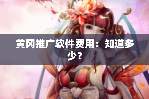 黄冈推广软件费用：知道多少？