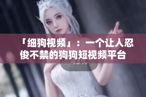 「细狗视频」：一个让人忍俊不禁的狗狗短视频平台