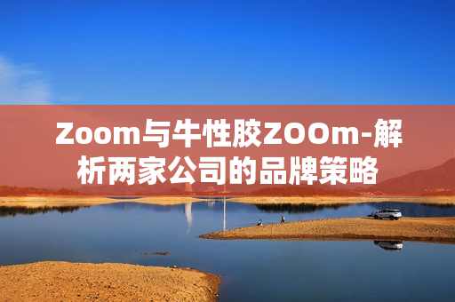 Zoom与牛性胶ZOOm-解析两家公司的品牌策略