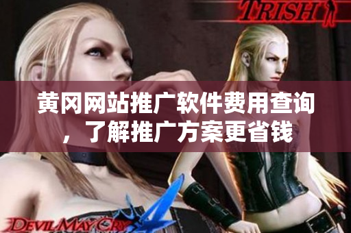 黄冈网站推广软件费用查询，了解推广方案更省钱