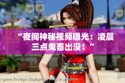 “夜间神秘视频曝光：凌晨三点鬼畜出没！”