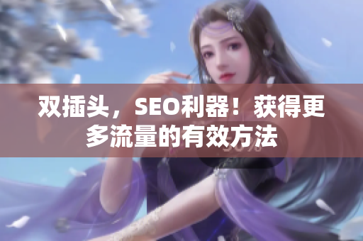 双插头，SEO利器！获得更多流量的有效方法