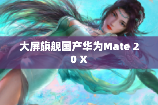 大屏旗舰国产华为Mate 20 X