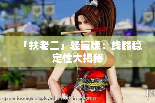 「扶老二」轻量版：线路稳定性大揭秘