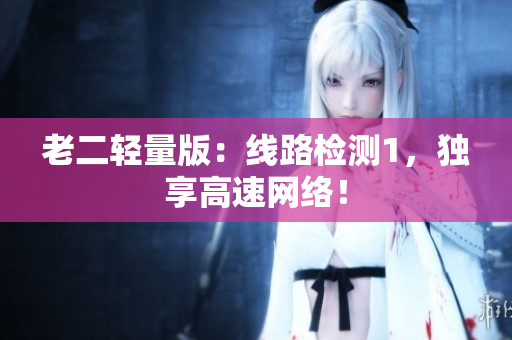 老二轻量版：线路检测1，独享高速网络！