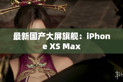 最新国产大屏旗舰：iPhone XS Max