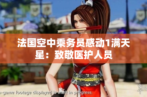 法国空中乘务员感动1满天星：致敬医护人员