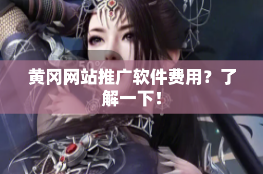 黄冈网站推广软件费用？了解一下！