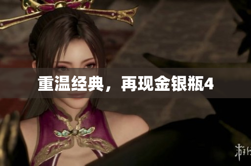 重温经典，再现金银瓶4