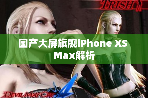 国产大屏旗舰iPhone XS Max解析