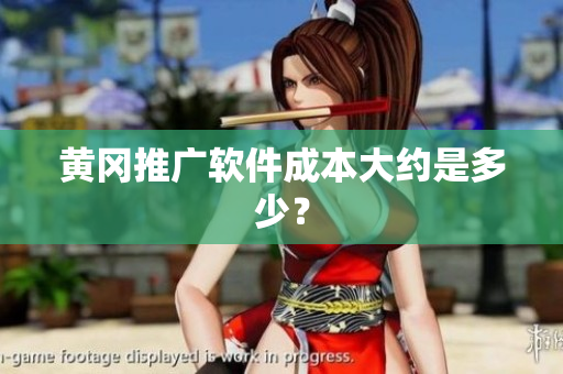 黄冈推广软件成本大约是多少？