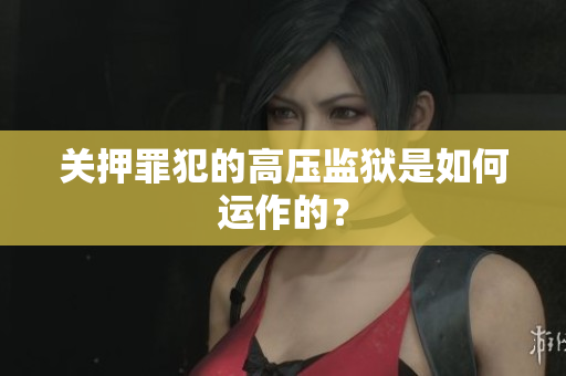 关押罪犯的高压监狱是如何运作的？