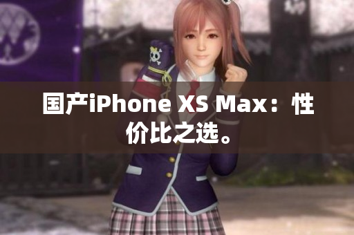 国产iPhone XS Max：性价比之选。