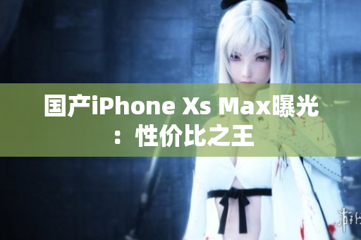 国产iPhone Xs Max曝光：性价比之王