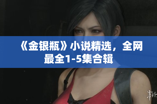 《金银瓶》小说精选，全网最全1-5集合辑