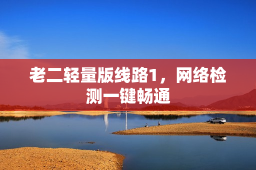 老二轻量版线路1，网络检测一键畅通