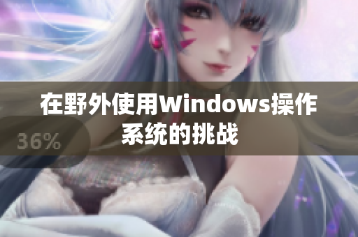 在野外使用Windows操作系统的挑战