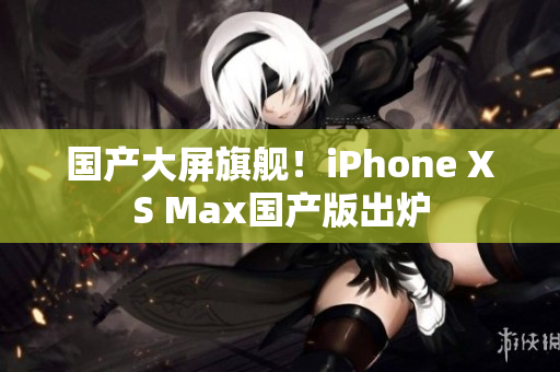 国产大屏旗舰！iPhone XS Max国产版出炉
