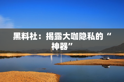 黑料社：揭露大咖隐私的“神器”