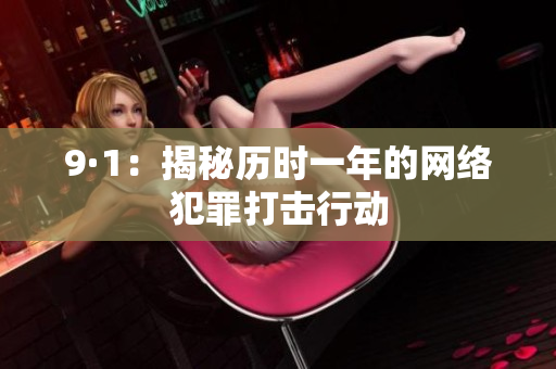 9·1：揭秘历时一年的网络犯罪打击行动