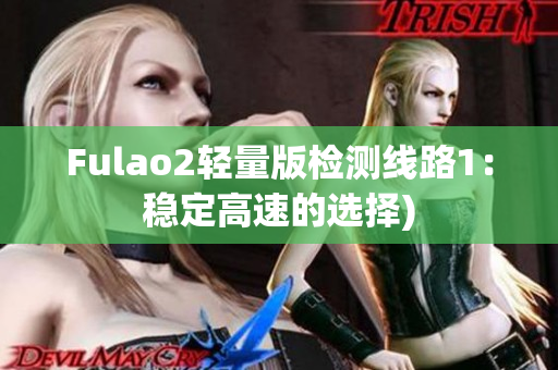 Fulao2轻量版检测线路1：稳定高速的选择)