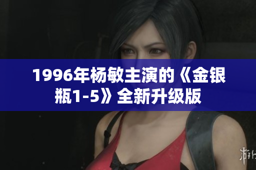 1996年杨敏主演的《金银瓶1-5》全新升级版